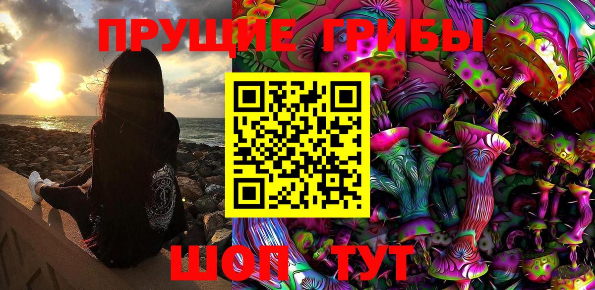 Галлюциногенные грибы Psilocybe Ставрополь