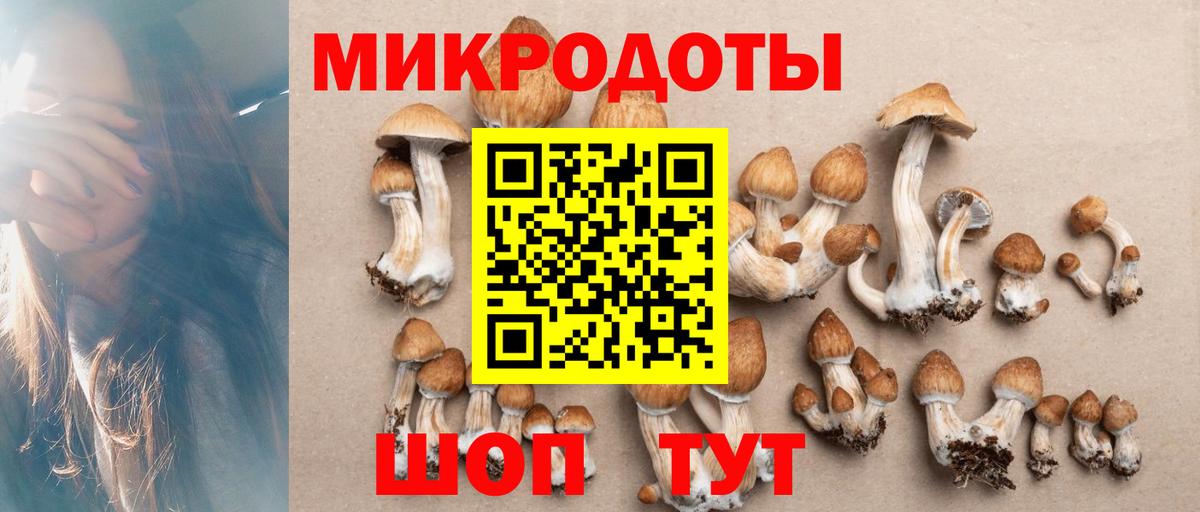 Ставрополь  Псилоцибиновые грибы мицелий  Вход с VPN 